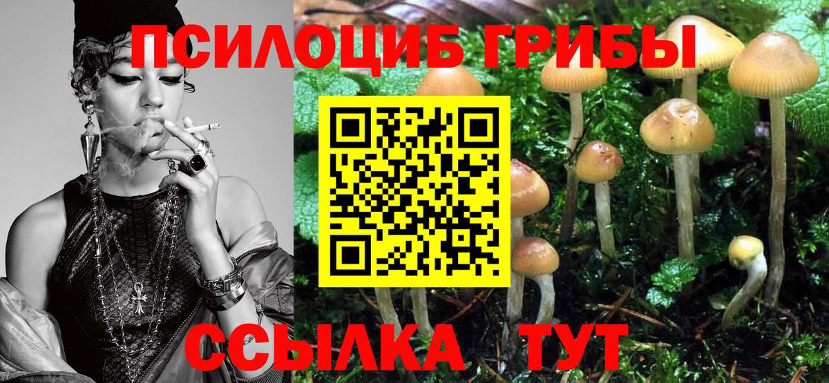 Галлюциногенные грибы MAGIC MUSHROOMS  Вход с VPN  Майский 