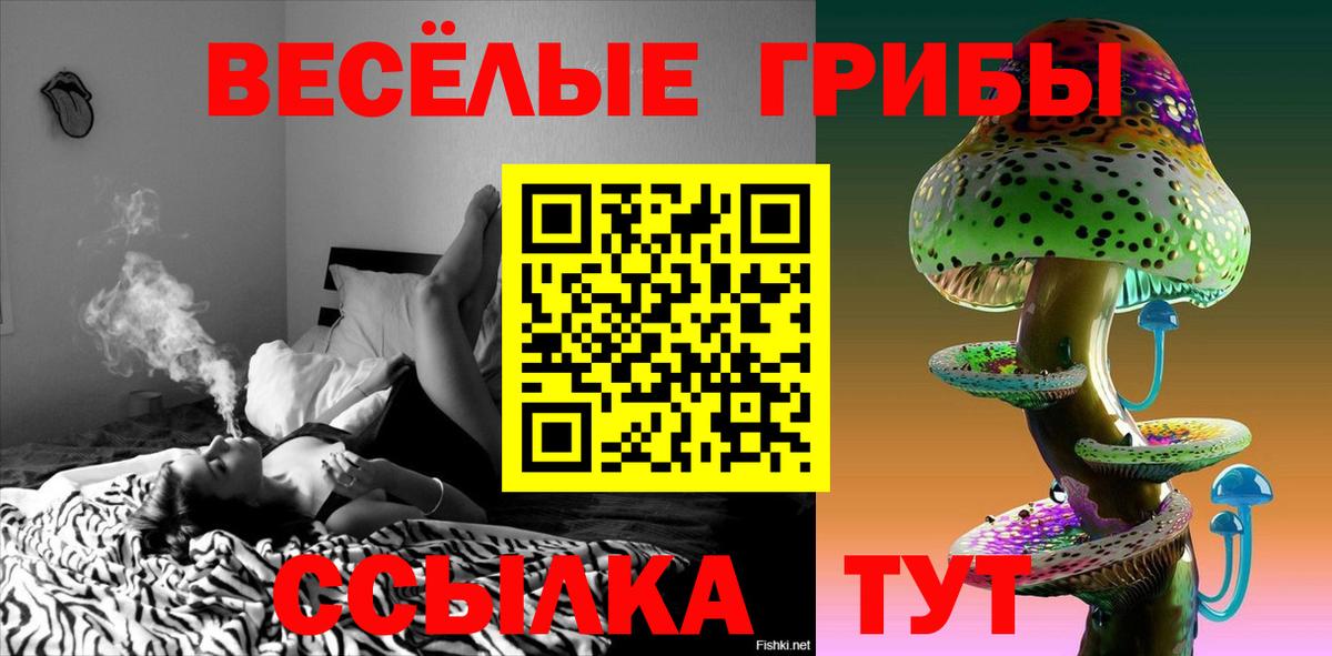 Галлюциногенные грибы Psilocybe Майский